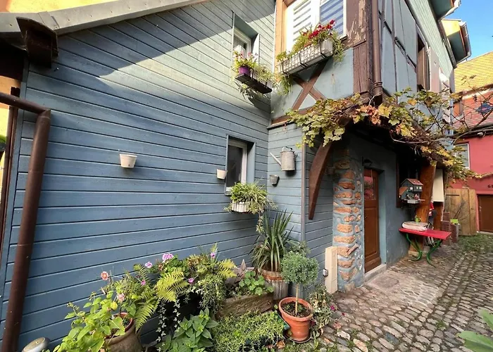 Gite Le 70 A Turckheim, 10 Min Colmar
